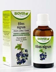 Ribes nigrum bio Biover 50ml