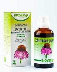 Echinapurpurea tinctuur bio Biover 50ml