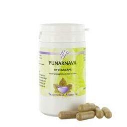 Punarnava Holisan 60ca